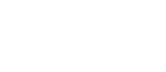 Livinsights Software white logo